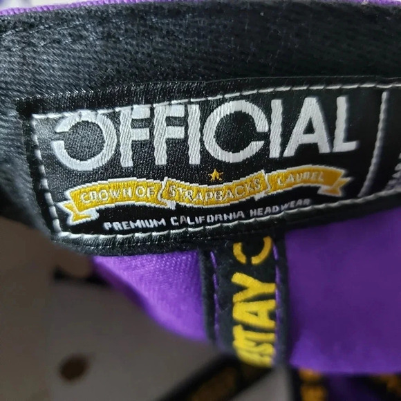 NWT,The  Officials Daddy Kane,Purple/Green Flat Bill Mens Ball Cap. - Picture 8 of 8